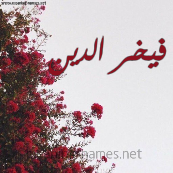 شكل 18 صوره الورد الأحمر للإسم بخط رقعة صورة اسم فيخر الدين Fakhr-Aldin